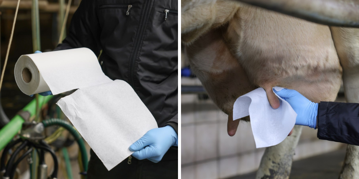 uterky-na-vemena-kerbl-15787-udderoclean-23x22cm-2x800-utrzku-bez-kartonoveho-jadra-bile-vyuziti